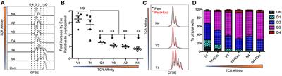 CTL-Derived Exosomes Enhance the Activation of CTLs Stimulated by Low-Affinity Peptides